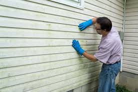 Affordable Siding Repair and Maintenance Services in Lacoochee, FL